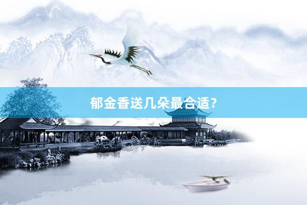 郁金香送几朵最合适？