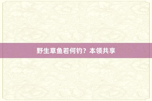 野生草鱼若何钓？本领共享